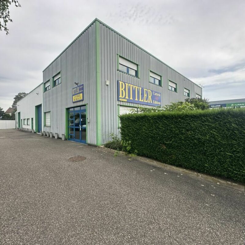 Location - 768 m² - SOUFFELWEYERSHEIM - 2