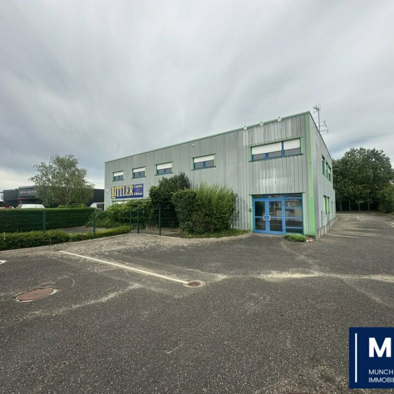 Location - 768 m² - SOUFFELWEYERSHEIM - 1