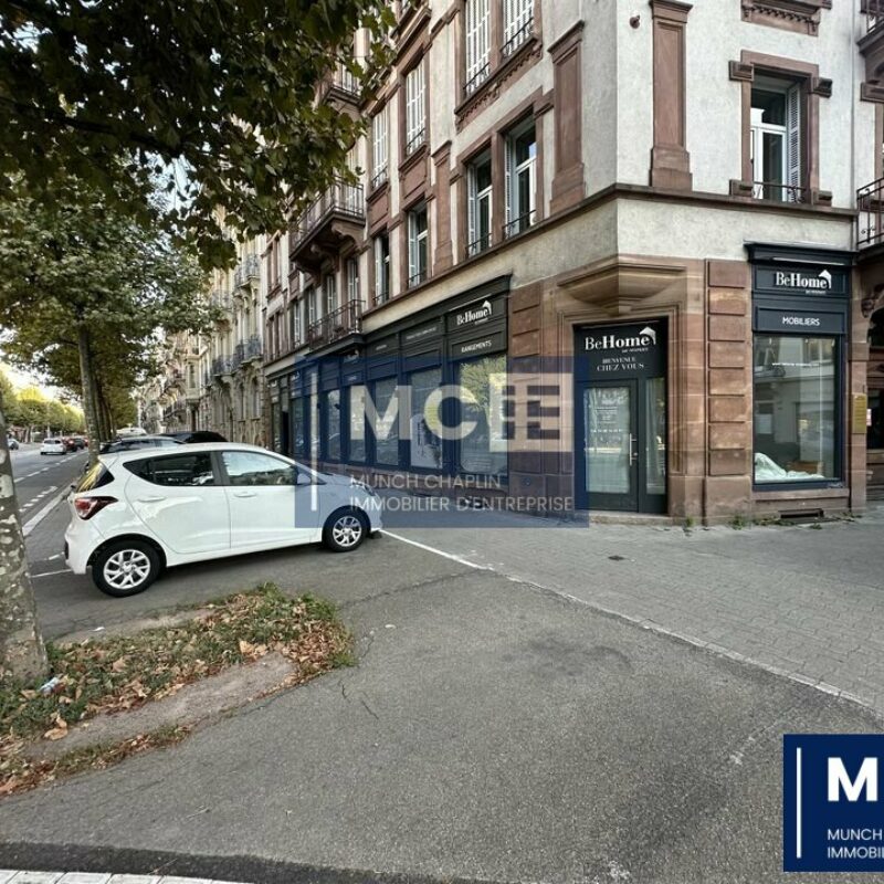 Location - 130 m² - STRASBOURG - 1