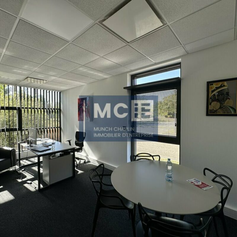Location - 120 m² - SCHILTIGHEIM - 3