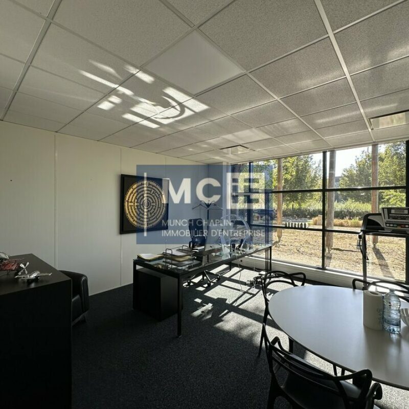 Location - 120 m² - SCHILTIGHEIM - 2