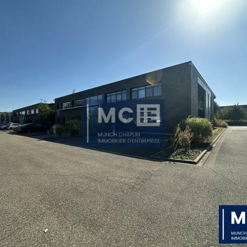 Location - 120 m² - SCHILTIGHEIM - 1