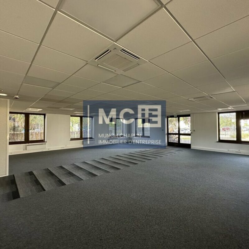 Location - 650.1 m² - LINGOLSHEIM - 2