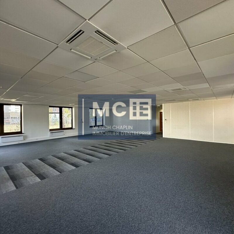 Location - 650.1 m² - LINGOLSHEIM - 3
