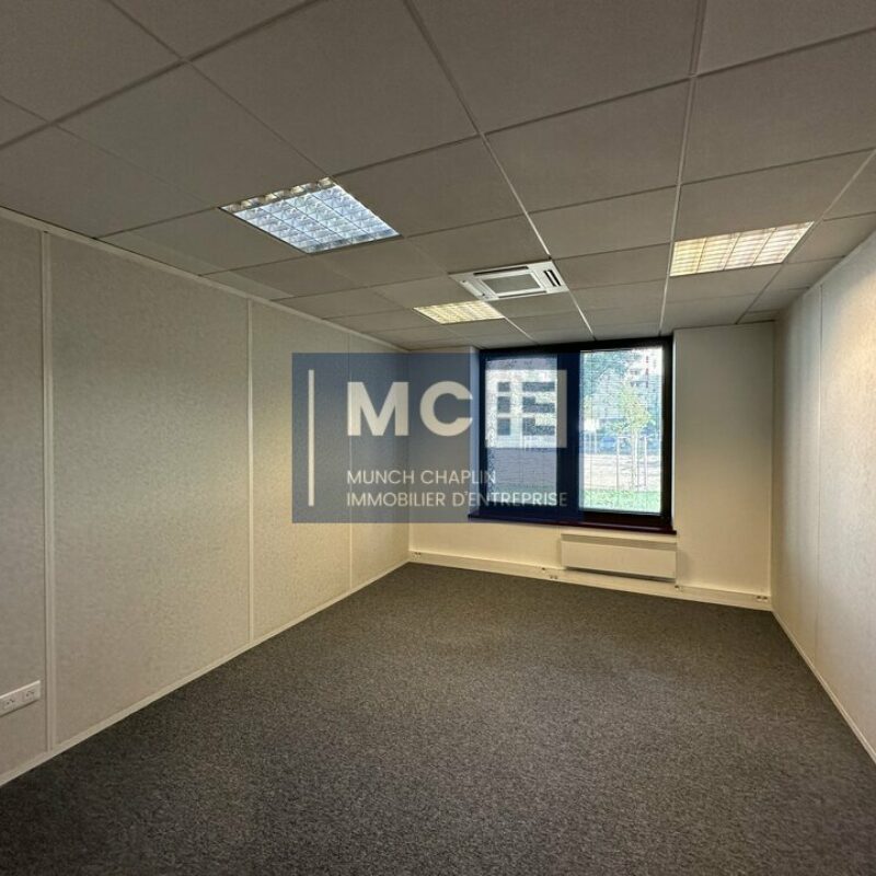 Location - 650.1 m² - LINGOLSHEIM - 4