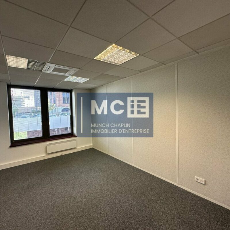 Location - 650.1 m² - LINGOLSHEIM - 5