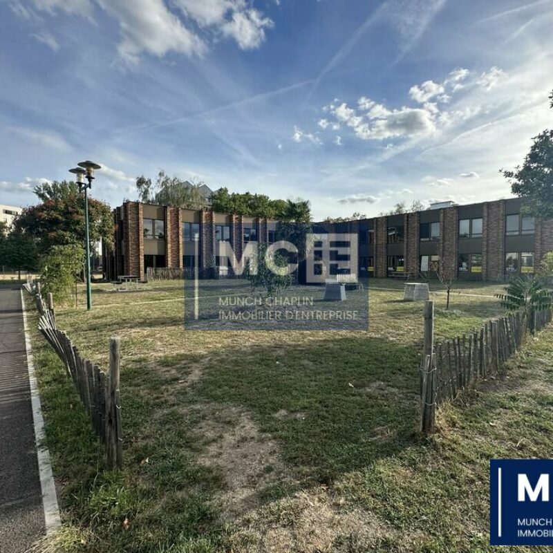 Location - 650.1 m² - LINGOLSHEIM - 1