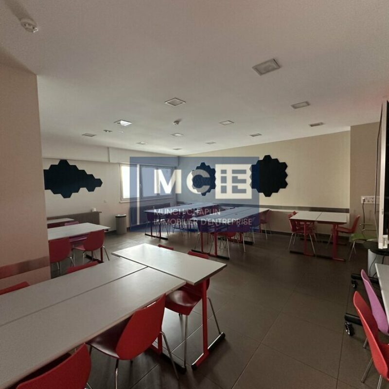 Location - 192 m² - STRASBOURG - 5