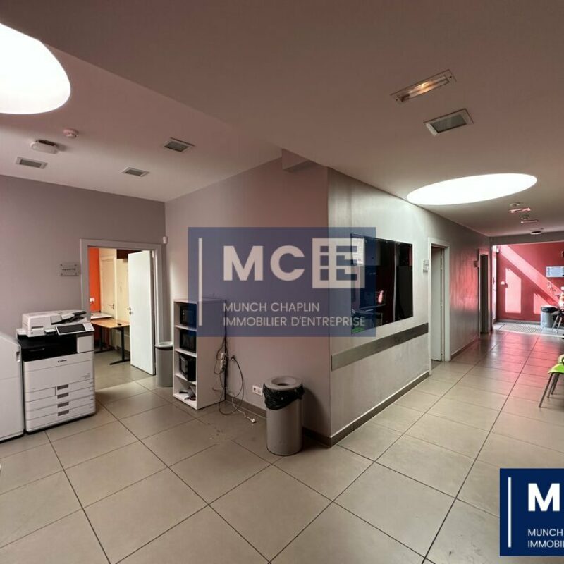 Location - 192 m² - STRASBOURG - 1