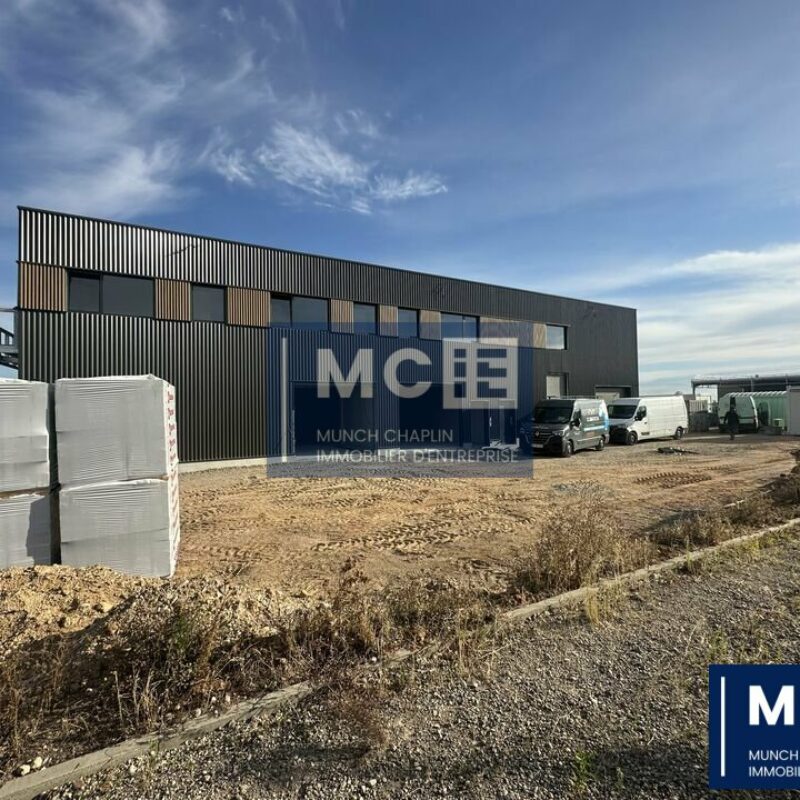 Location - 109.1 m² - ROSHEIM - 1