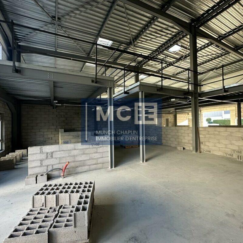 Location - 307.25 m² - KILSTETT - 2