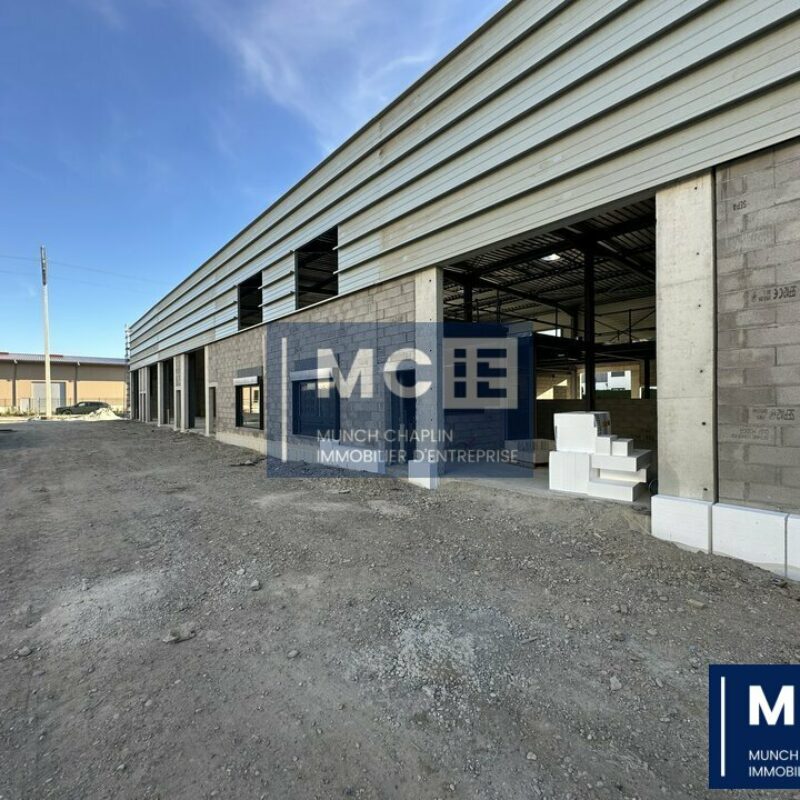 Location - 307.25 m² - KILSTETT - 1