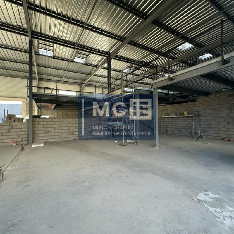 Location - 307.25 m² - KILSTETT - 3