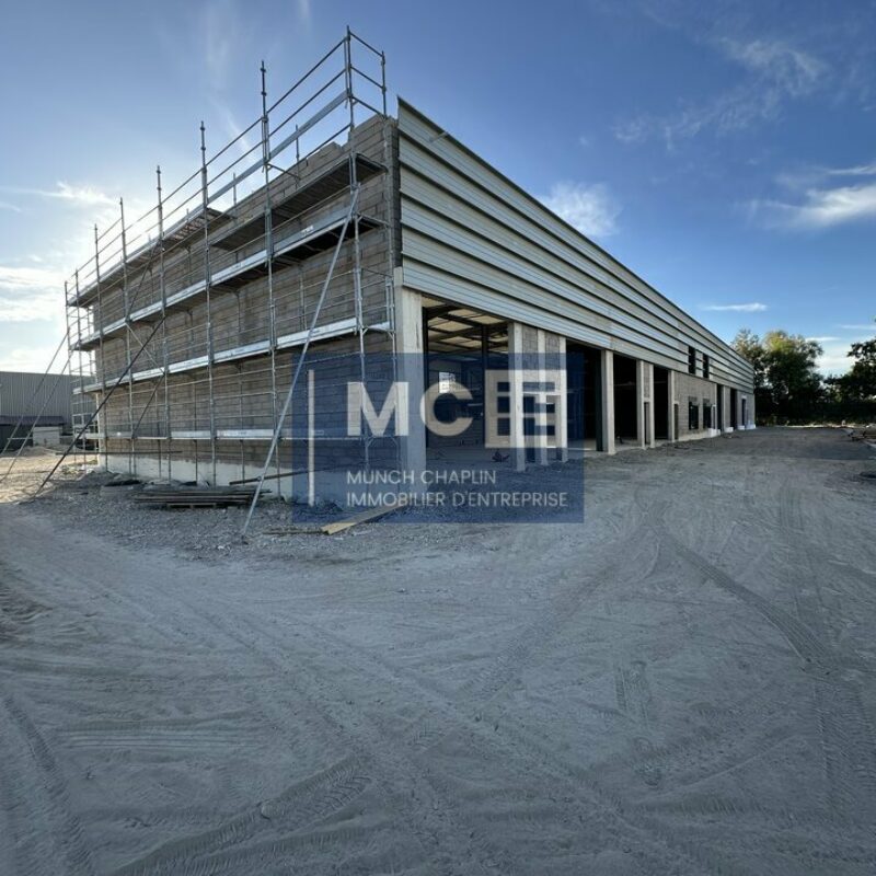 Location - 307.25 m² - KILSTETT - 4