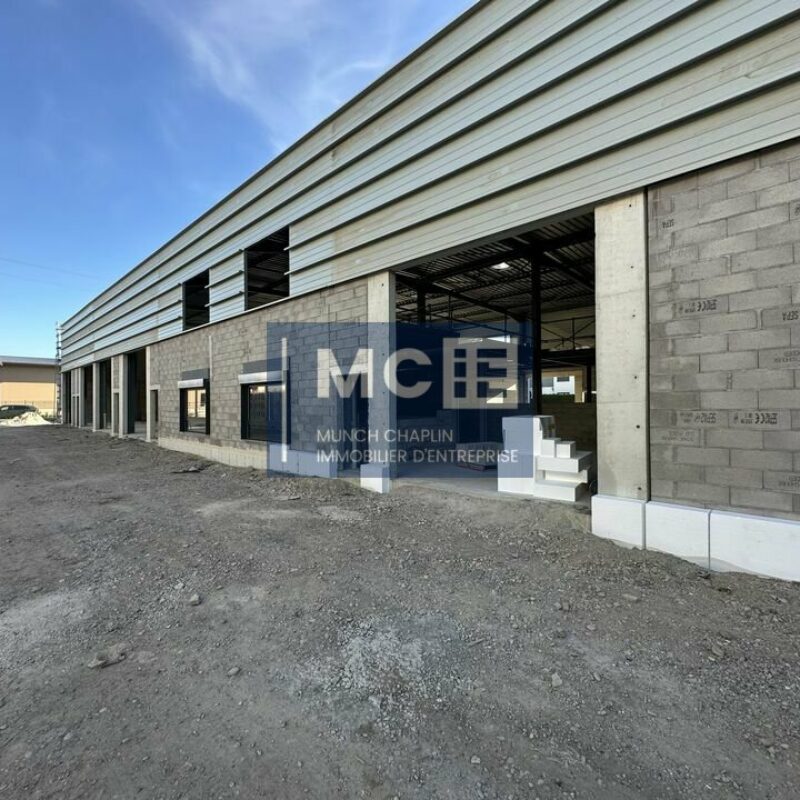Location - 319.04 m² - KILSTETT - 3