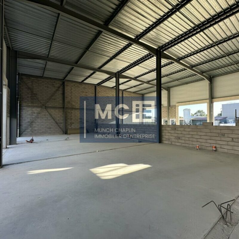 Location - 319.04 m² - KILSTETT - 2