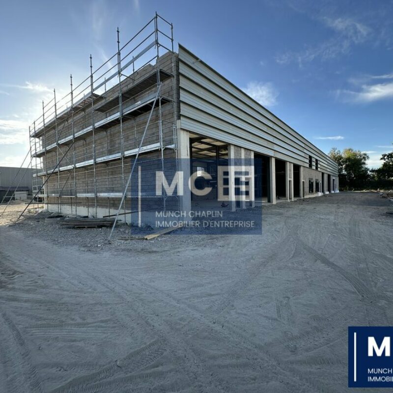 Location - 319.04 m² - KILSTETT - 1