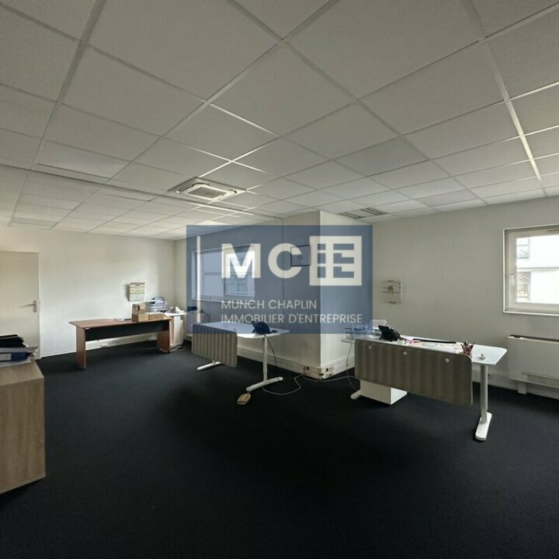 Location - 385 m² - MUNDOLSHEIM - 4