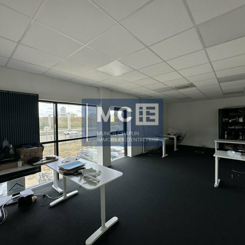 Location - 385 m² - MUNDOLSHEIM - 3