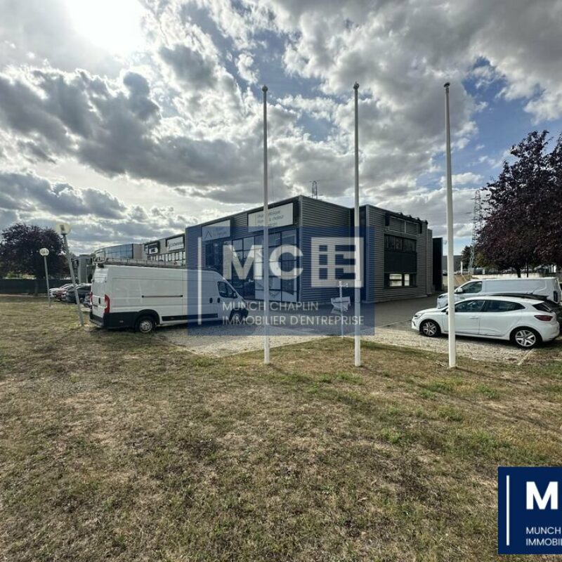 Location - 385 m² - MUNDOLSHEIM - 1