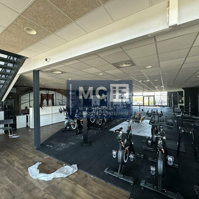 Location - 440 m² - BRUMATH - 3