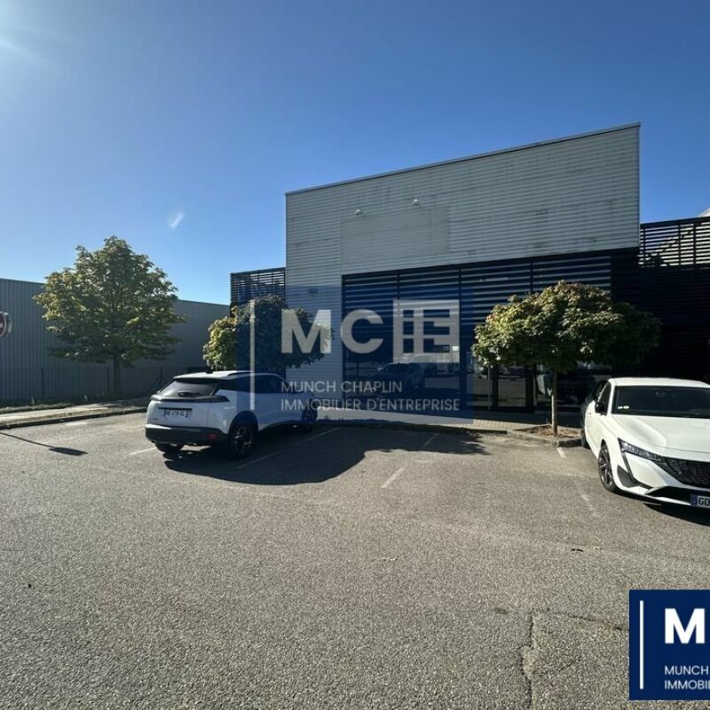 Location - 440 m² - BRUMATH - 1