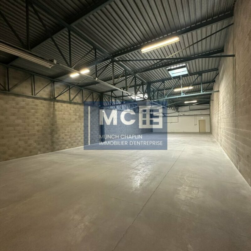 Location - 695.8 m² - MUNDOLSHEIM - 2