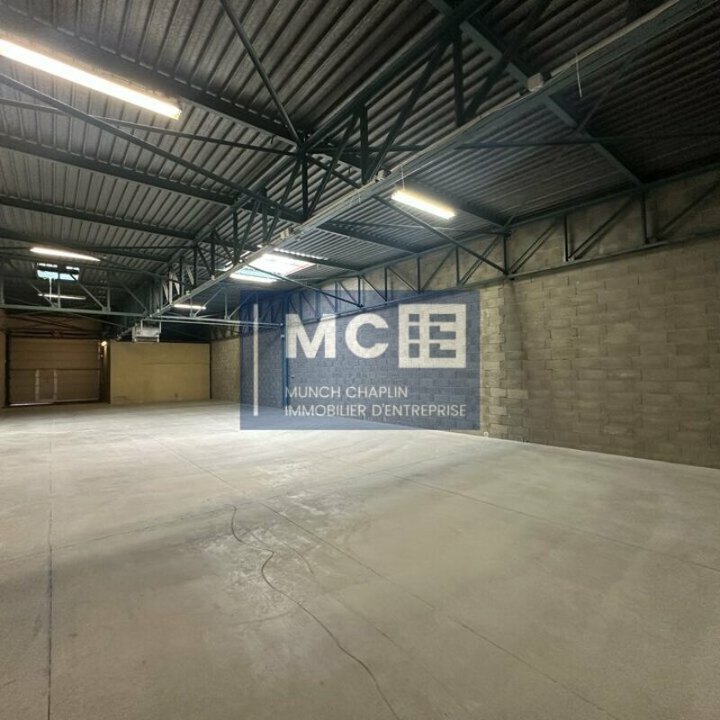 Location - 695.8 m² - MUNDOLSHEIM - 3