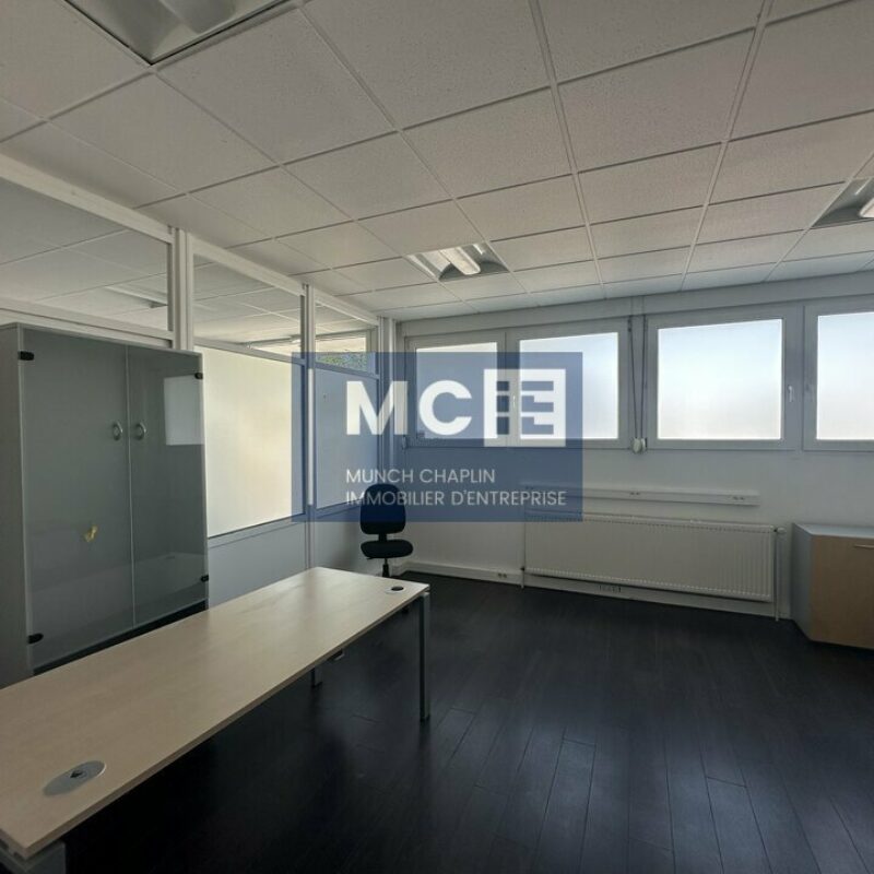 Location - 695.8 m² - MUNDOLSHEIM - 4
