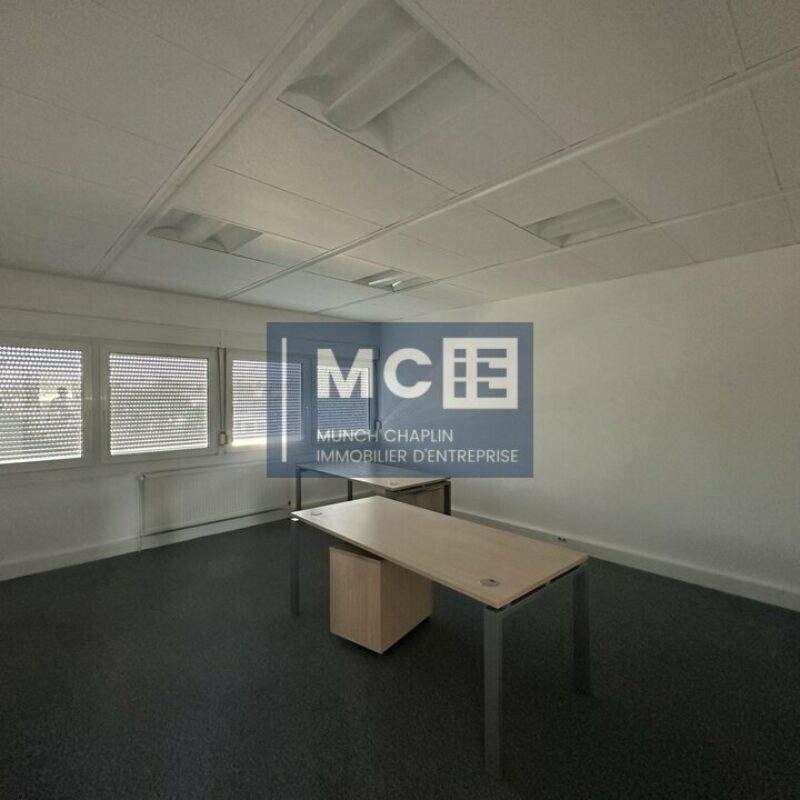 Location - 695.8 m² - MUNDOLSHEIM - 5