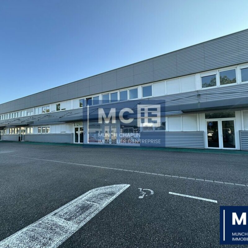 Location - 695.8 m² - MUNDOLSHEIM - 1