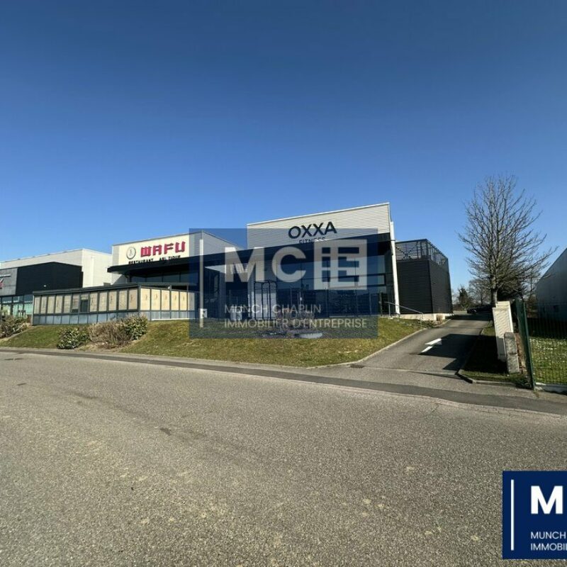 Location - 440 m² - BRUMATH - 2