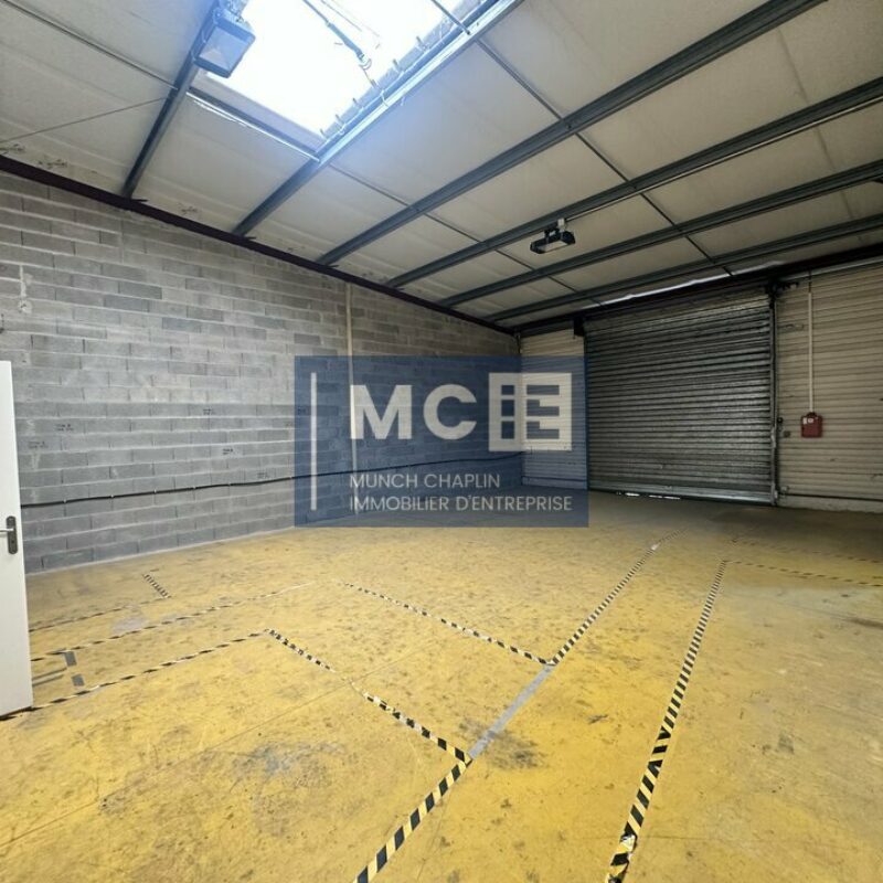 Location - 300 m² - GEISPOLSHEIM - 2