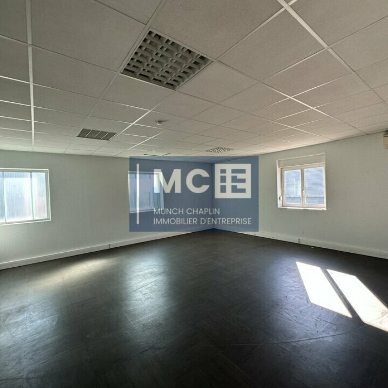 Location - 300 m² - GEISPOLSHEIM - 4