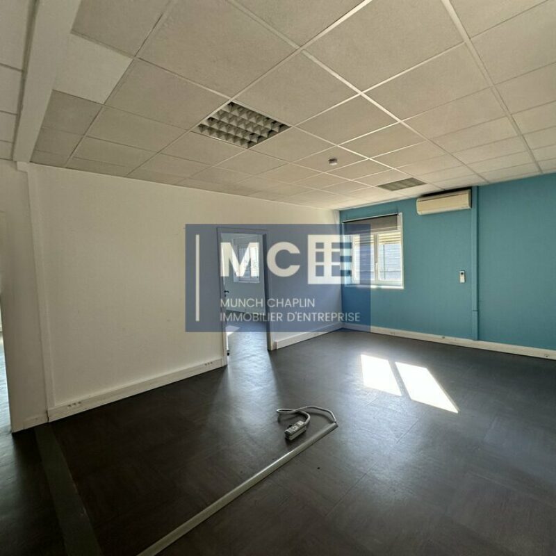 Location - 300 m² - GEISPOLSHEIM - 5