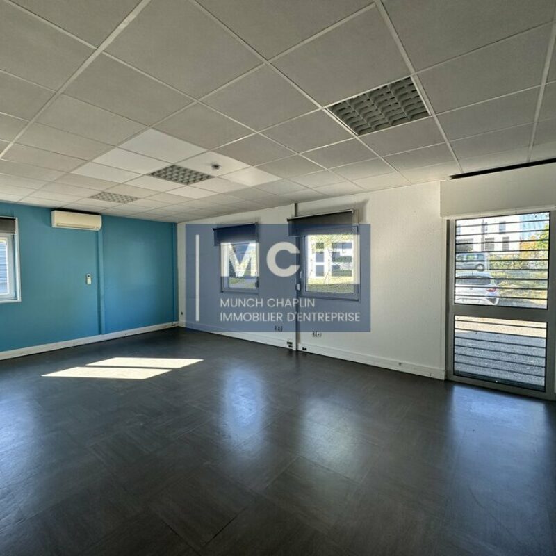 Location - 300 m² - GEISPOLSHEIM - 3