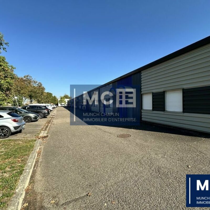 Location - 300 m² - GEISPOLSHEIM - 1