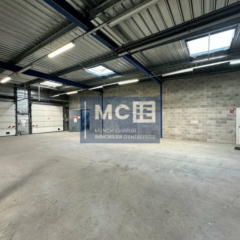 Location - 1592 m² - OSTWALD - 3