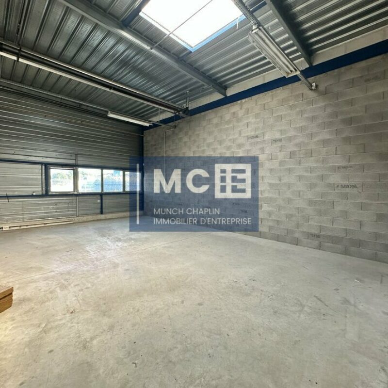 Location - 1592 m² - OSTWALD - 5