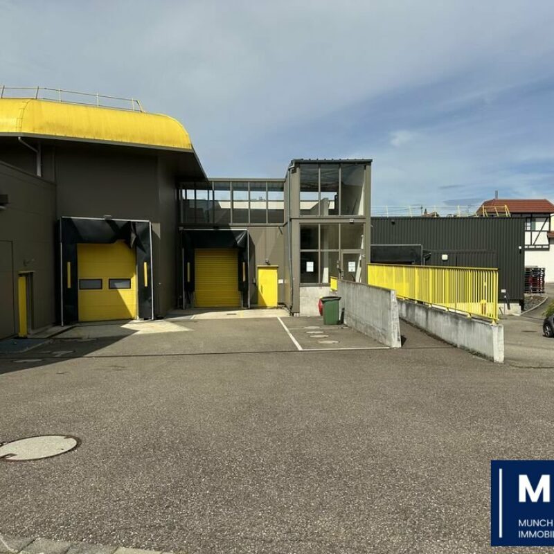 Location - 3000 m² - ITTENHEIM - 1