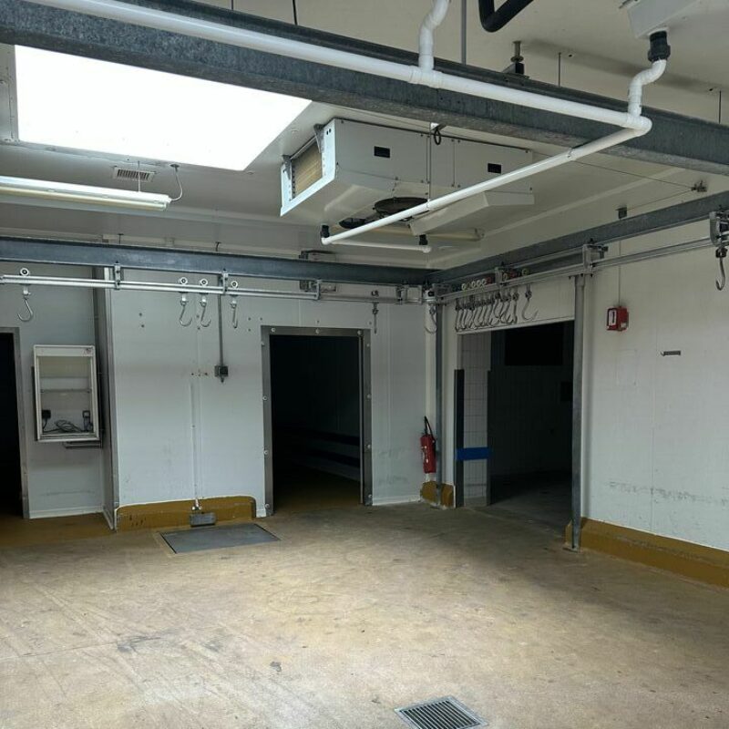 Location - 3000 m² - ITTENHEIM - 2