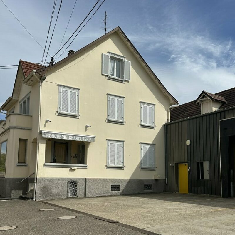 Location - 3000 m² - ITTENHEIM - 5