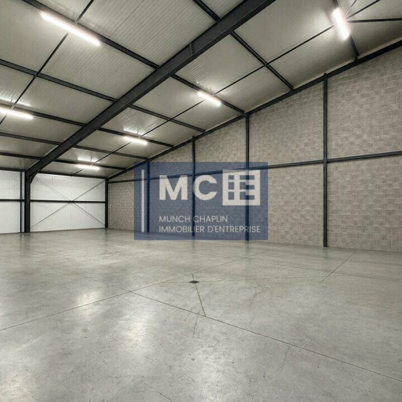 Location - 758.6 m² - BENFELD - 2