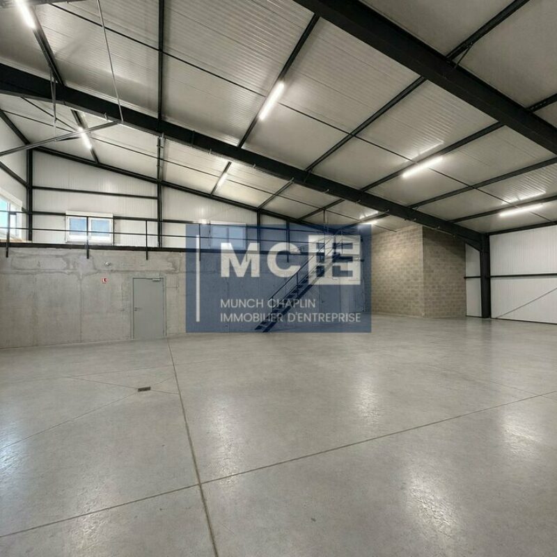 Location - 758.6 m² - BENFELD - 3
