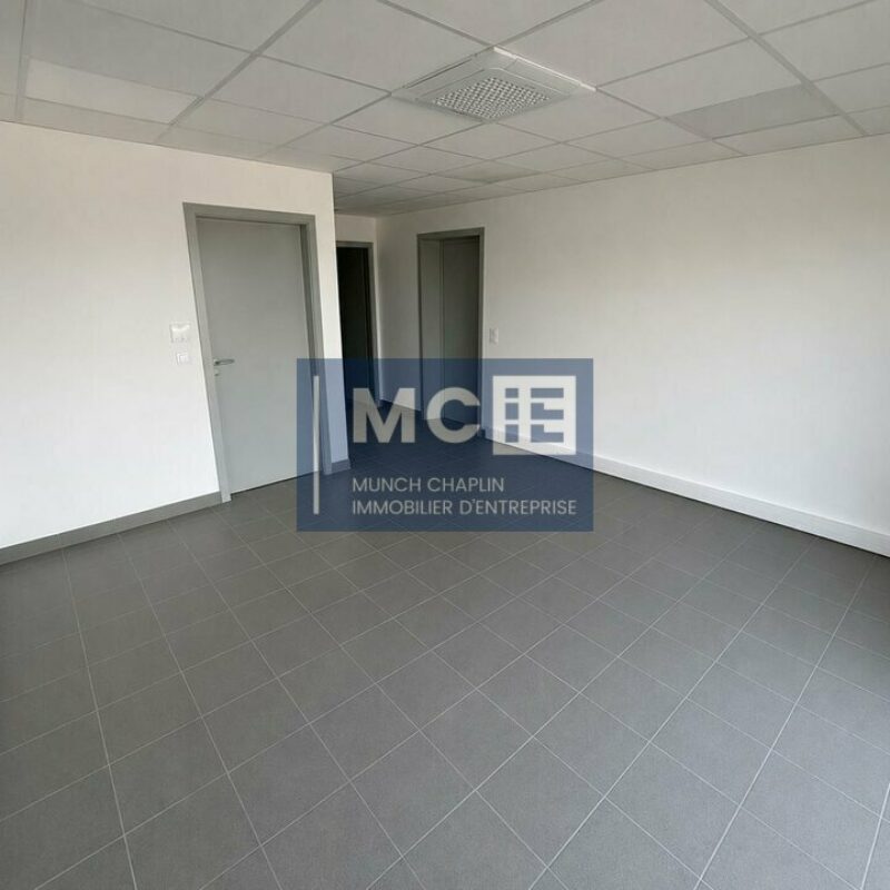 Location - 758.6 m² - BENFELD - 5