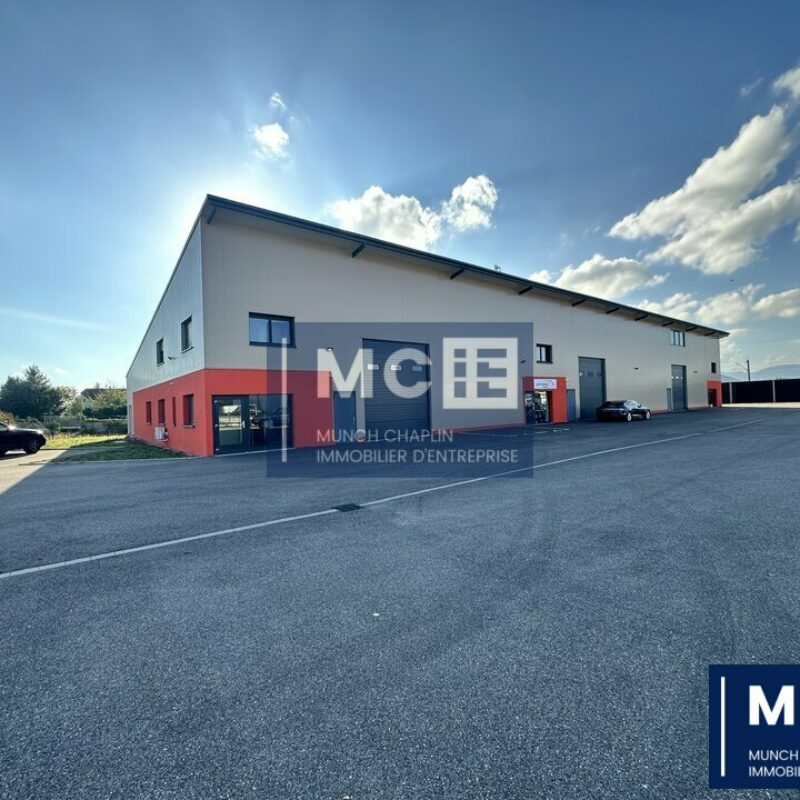 Location - 758.6 m² - BENFELD - 1