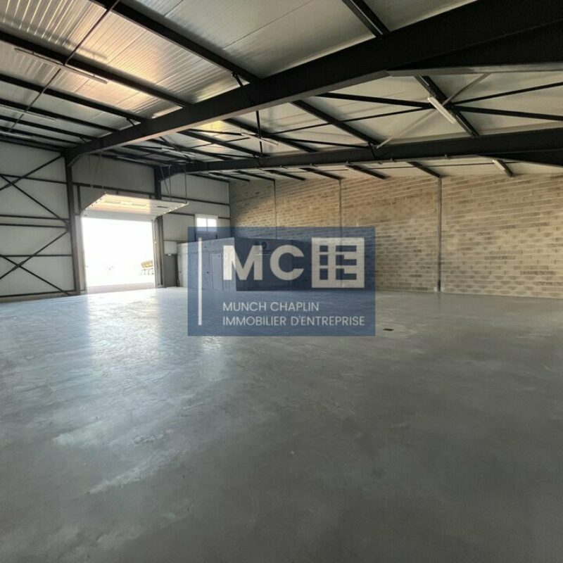 Location - 758.6 m² - BENFELD - 4