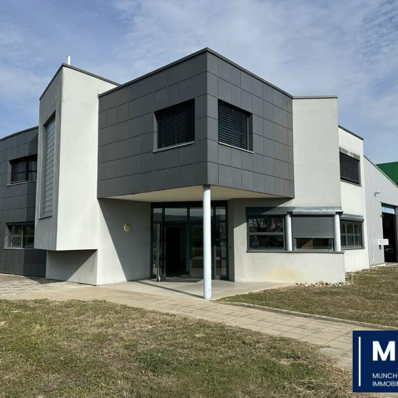 Location - 750 m² - BRUMATH - 1