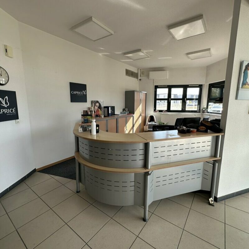 Location - 750 m² - BRUMATH - 3