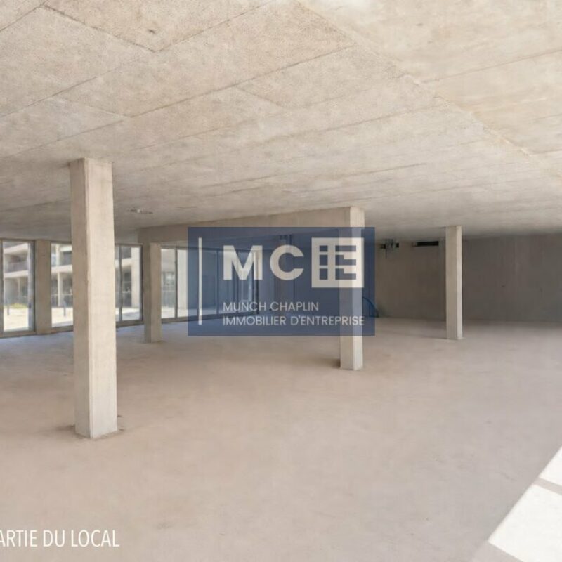 Vente - 370.01 m² - STRASBOURG - 3